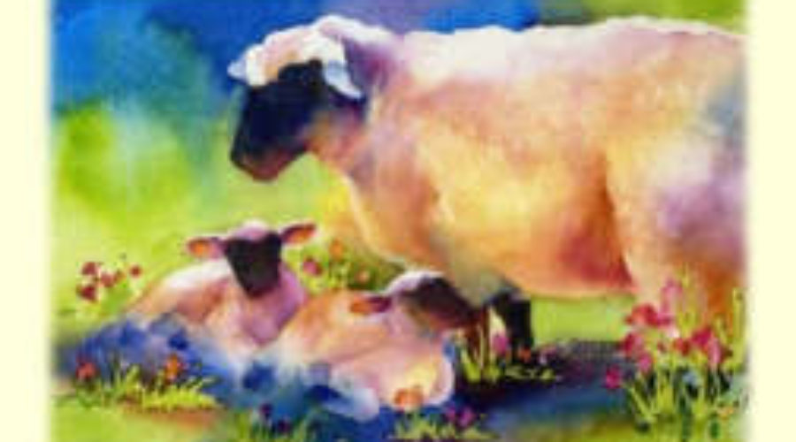 組員轉組的屬天眼光