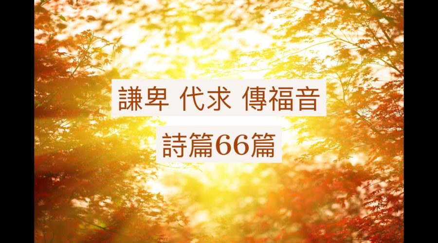 謙卑、代求、傳福音 / 江一葦牧師