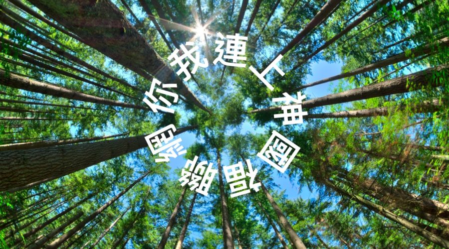 你我連上神國福聯網 / 陳得撒同工