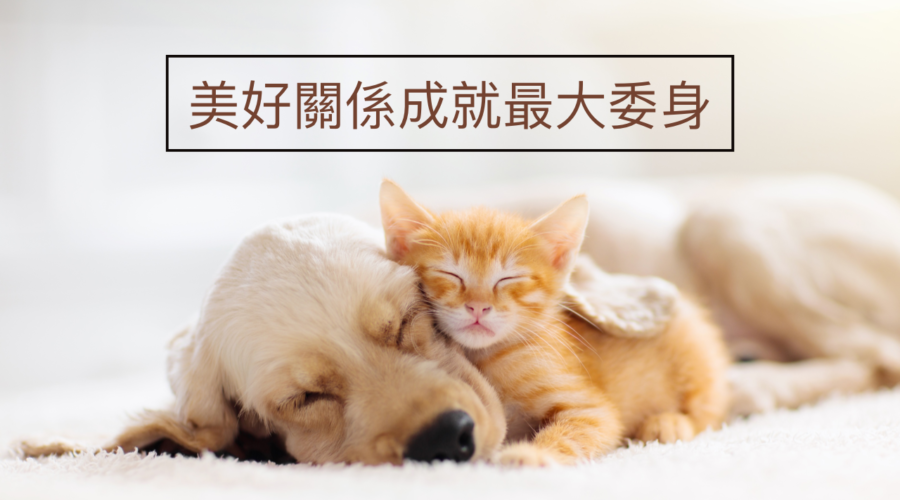 美好關係成就最大委身 / 江一葦牧師