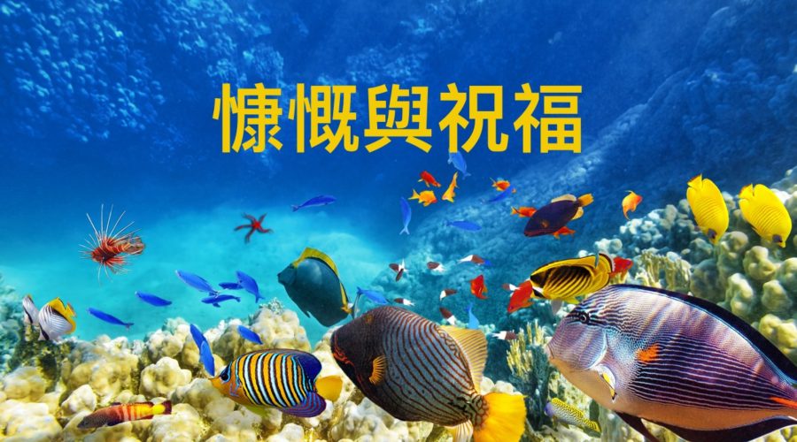 慷慨與祝福 / 周莊碧明牧師