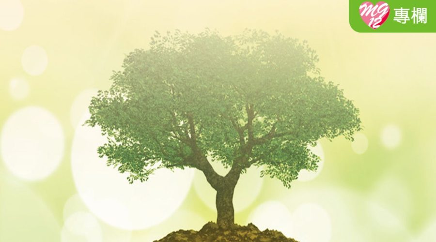 在生命樹下活出真實的相交