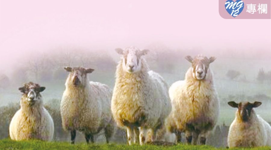 牧養不怕「低」！