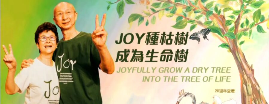 Joy種枯樹成為生命樹