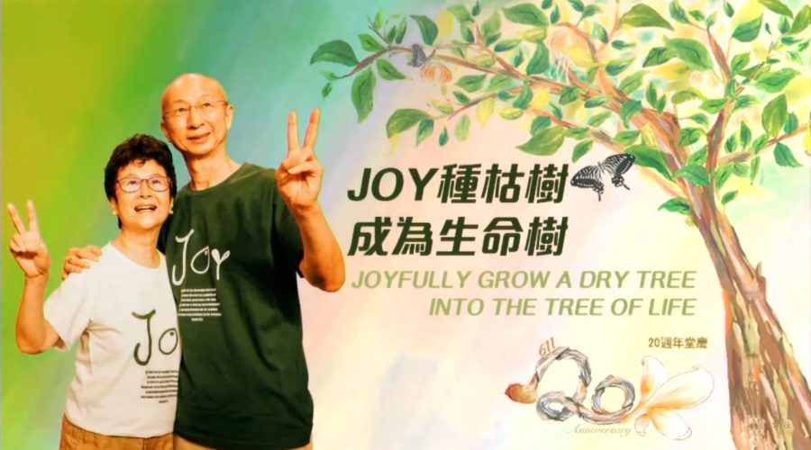 Joy種枯樹成為生命樹