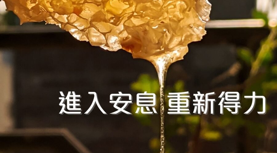 進入安息 重新得力