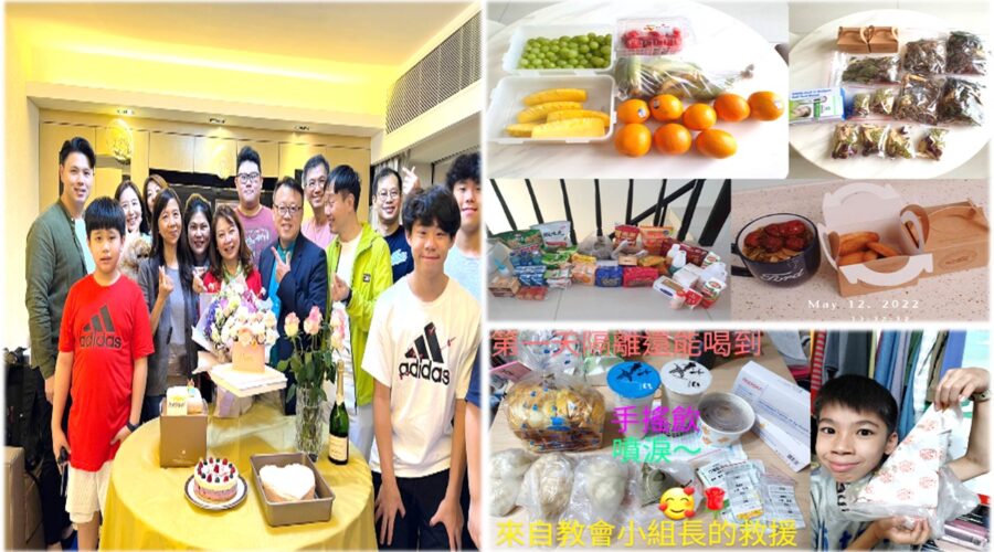 生命樹群體愛的行動