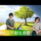 成為屹立不倒生命樹 / 玉貞 & Amy 傳道