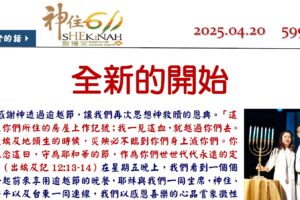 599期週報