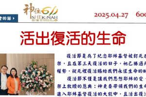600期週報
