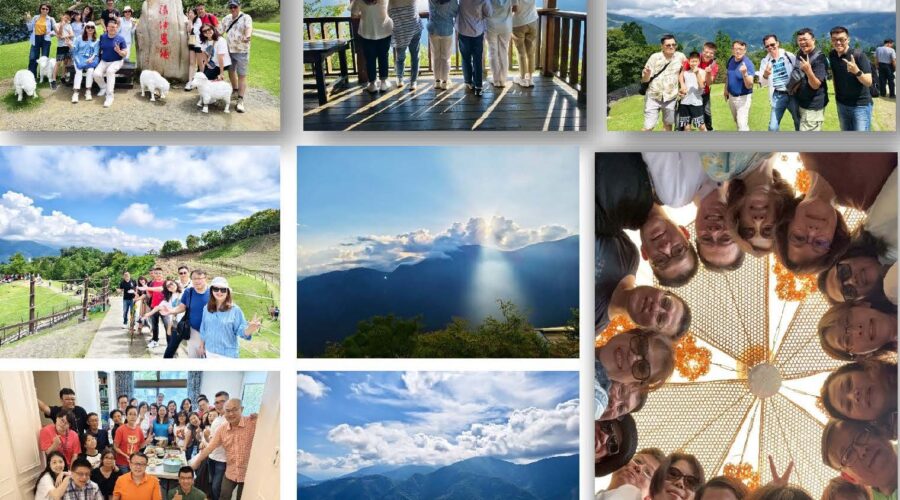 生命樹的愛沒有距離