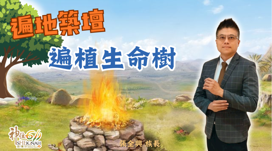 遍地築壇，遍植生命樹｜張全興族長